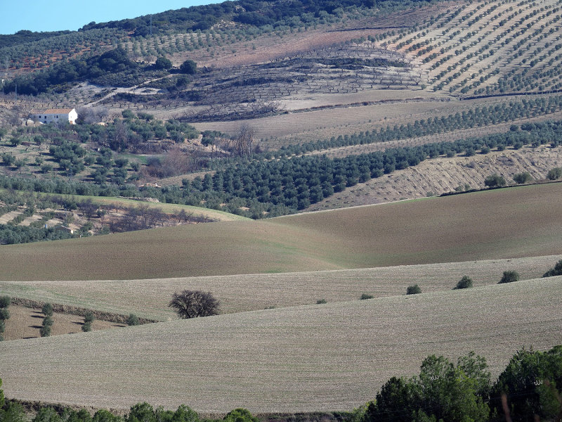 241_OM1A0868.JPG