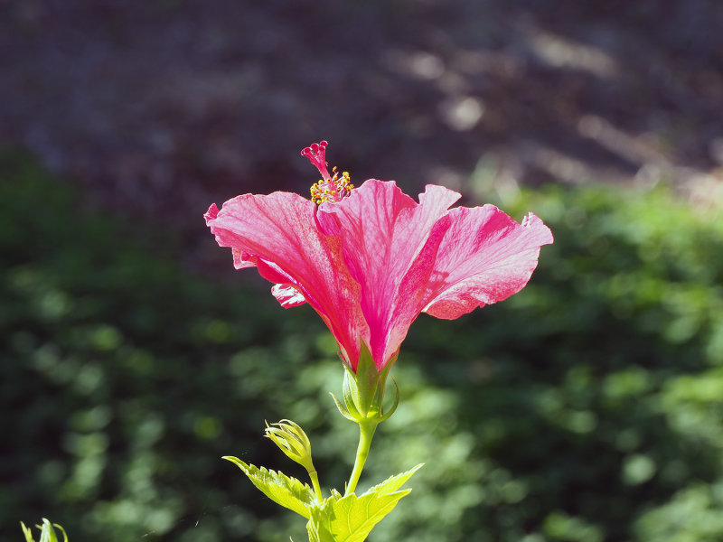 270_OM1B1076.JPG
