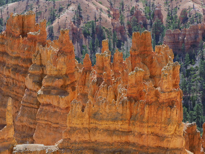BryceCanyon1A0187.JPG