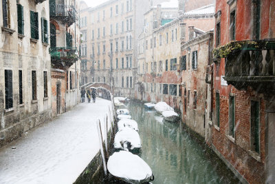 Small_049_57_139_VeniceFeb2013_P_Q20C1590.jpg
