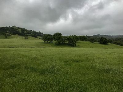 Meadows and rain clouds in the East Hills
