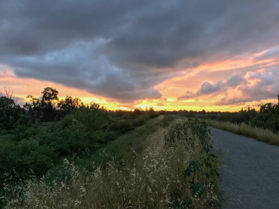 Sunset at Ulistac Natural Area