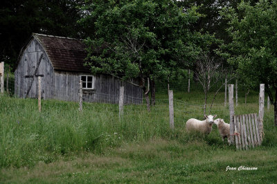 Bukland Bellechasse