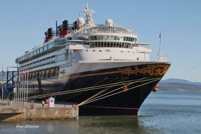 Bateaux de croisière - Cruise ships ( Vieux-Port de Québec )