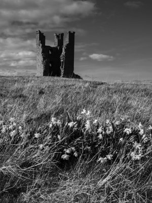 dunstanburgh-tower-bw-sk-fb.jpg