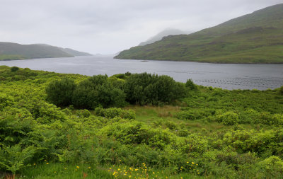 ireland
