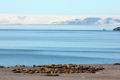 IMG_1123B.jpg