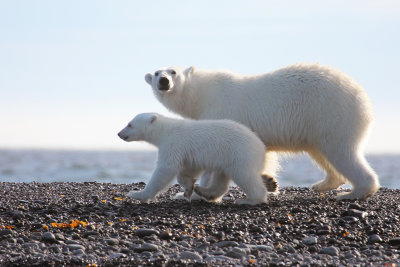svalbard