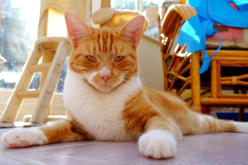 DSCF1050.jpg