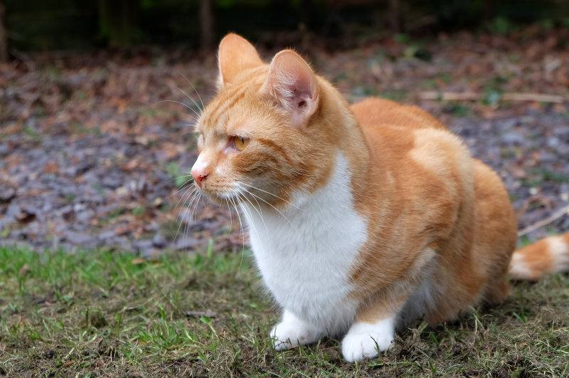 DSCF2754.jpg