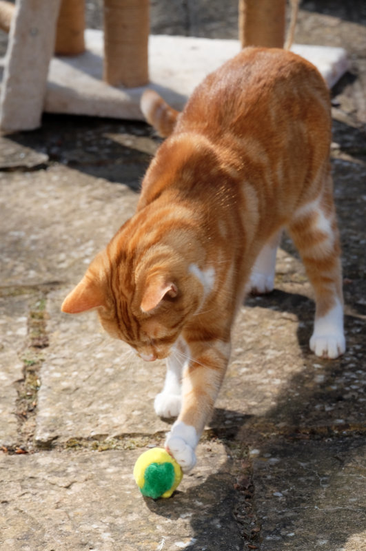 DSCF3421.jpg