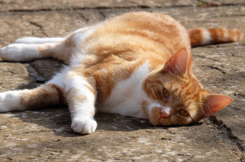 DSCF3538.jpg