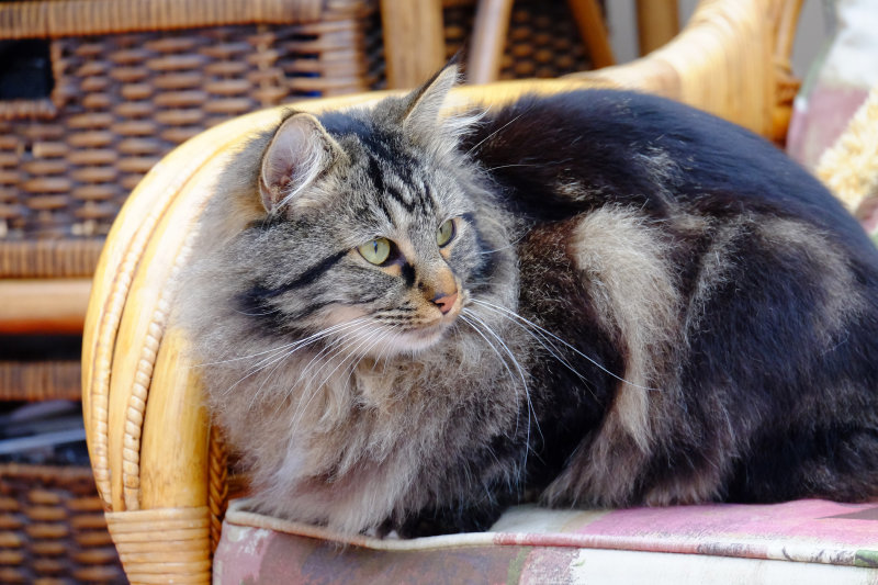 DSCF9107.jpg