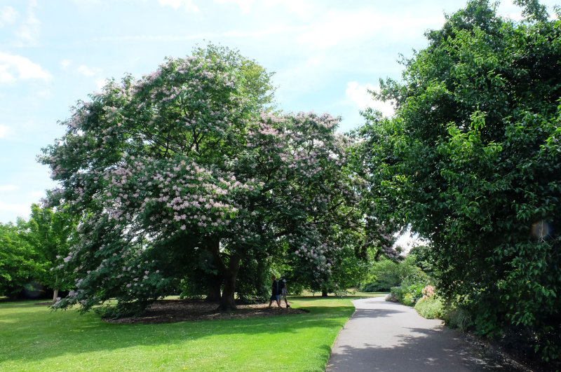 DSCF6028.jpg