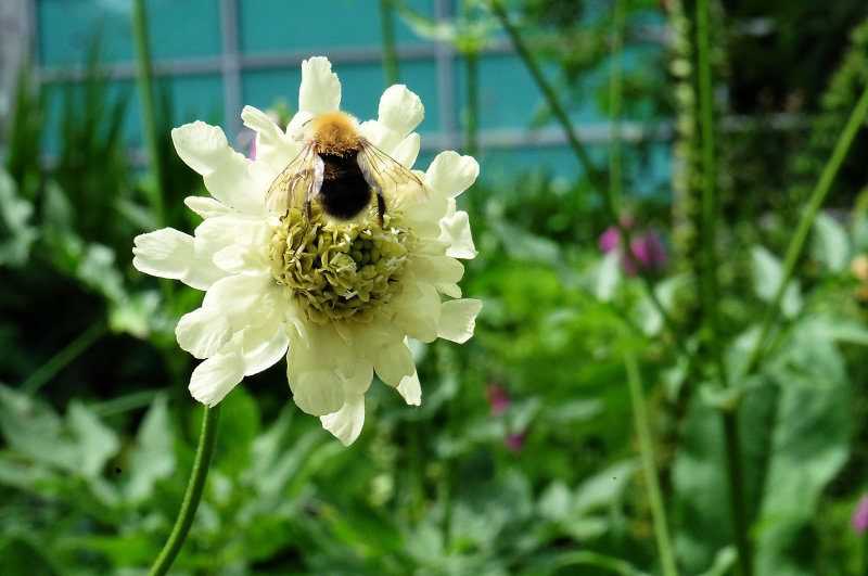 DSCF6033.jpg