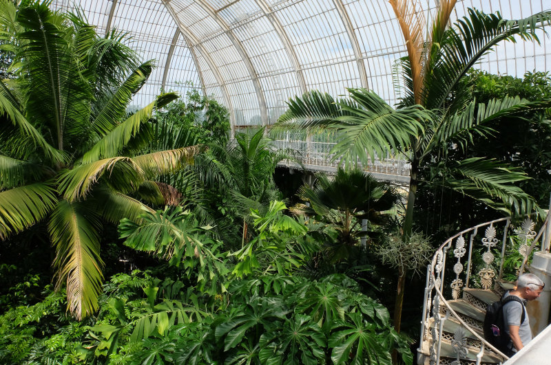 DSCF6064.jpg