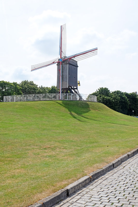 DSCF1900.jpg