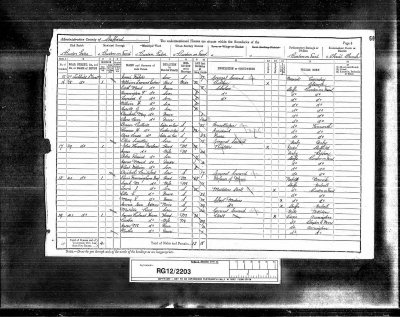 1891 census (Agnes Varlow (Brown- nee Rose)