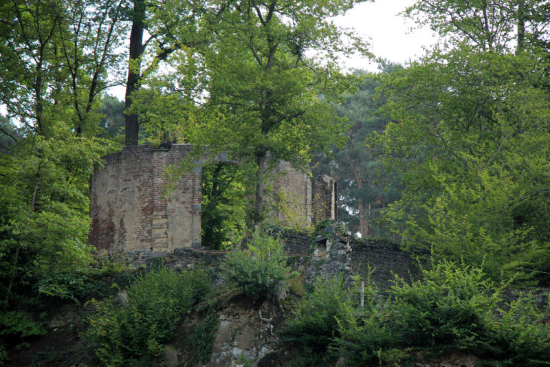 IMG_4293.JPG