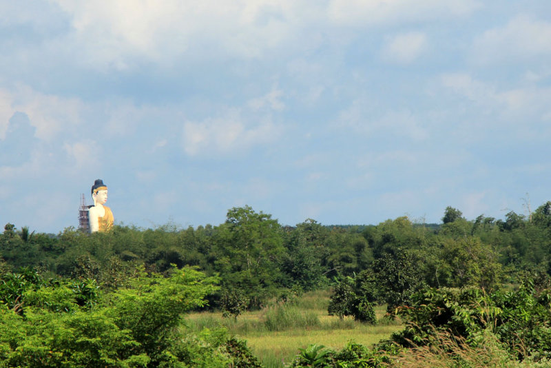 IMG_4626.JPG