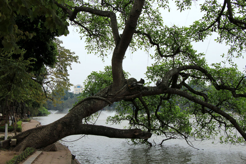 IMG_6687.JPG