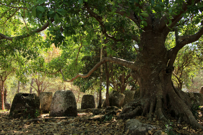 Plain of Jars
