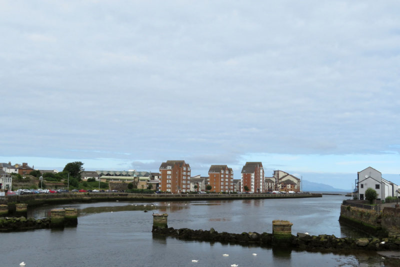 Ayr