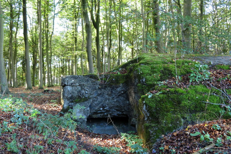 Gasthuisbossen