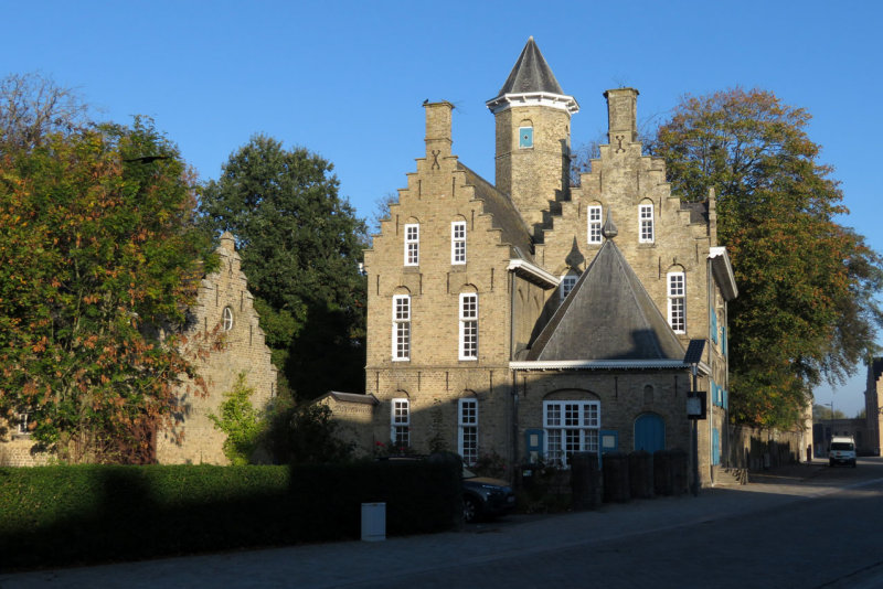 Reninge