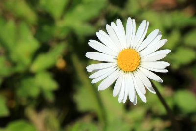 IMG_3841.JPG