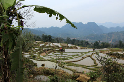 Northern Vietnam