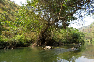 Nam-Et-Phou Louey National Protected Area