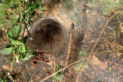 Nam-Et-Phou Louey National Protected Area