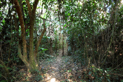 Nam-Et-Phou Louey National Protected Area