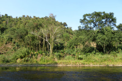 Nam-Et-Phou Louey National Protected Area