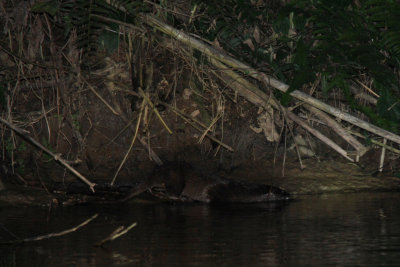 Nam-Et-Phou Louey National Protected Area