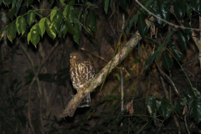 Nam-Et-Phou Louey National Protected Area