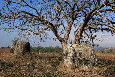 Plain of Jars