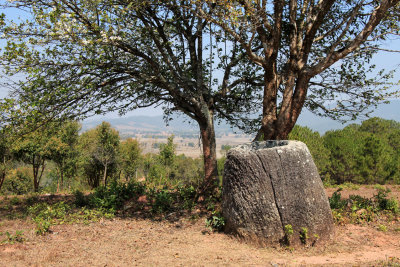 Plain of Jars