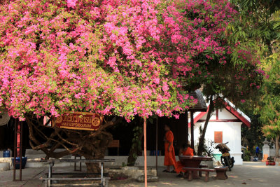 Luang Prabang
