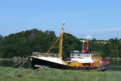 g10/81/81981/3/168096525.KyVAEwSr.jpg
