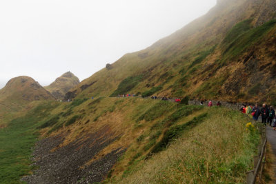 Giant Causeway