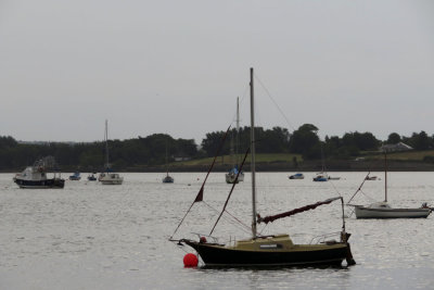 Youghal