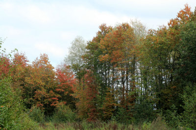 IMG_7556.JPG