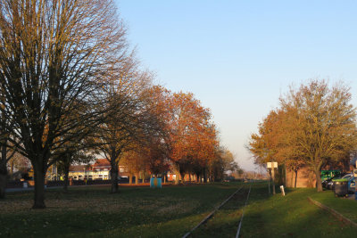 IMG_6207.JPG