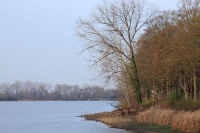 IMG_7802.JPG