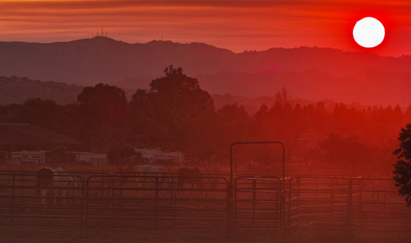 Red Sky at Night, Ranchers Delight