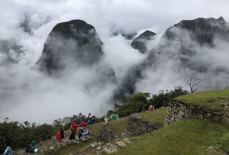 Giants in the fog