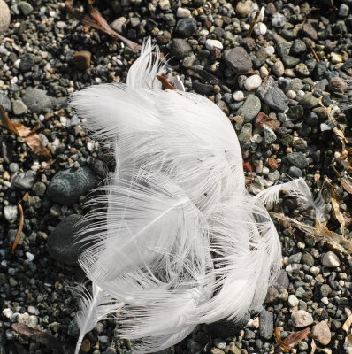 a certain lightness of being