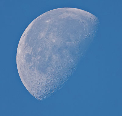 Morning Moon